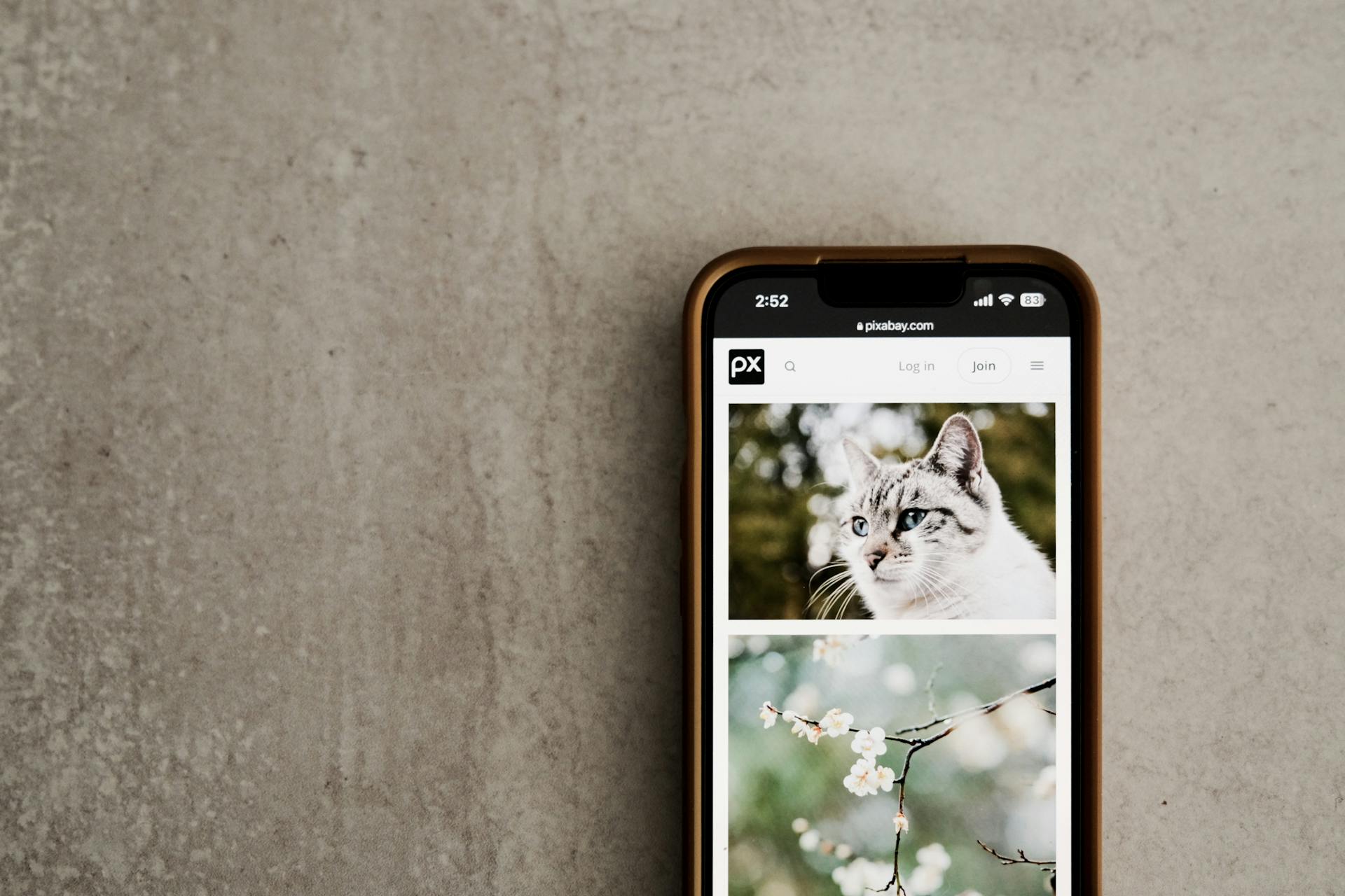 Best App to Make a Photo Book from Your Phone in 2025